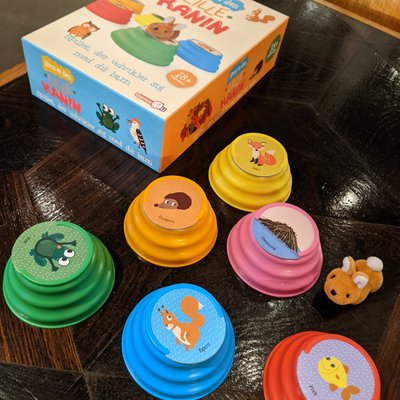 Hvor er den lille kanin