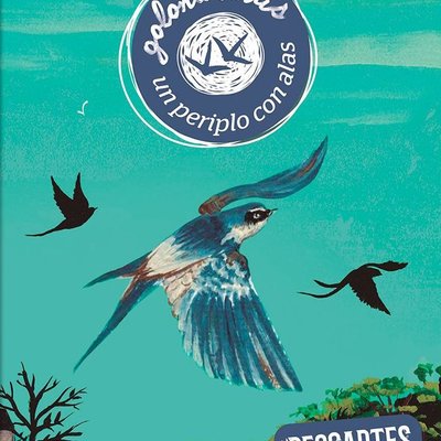 Golondrinas: Un Periplo con Alas