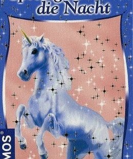 Sternenschweif: Sprung in die Nacht