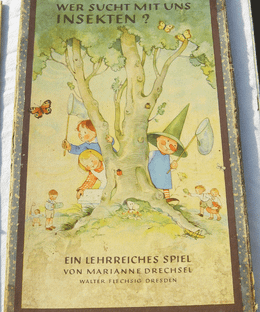 Wer sucht mit uns Insekten?