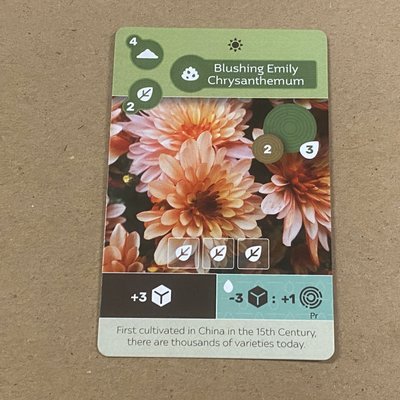 Earth: Blushing Emily Chrysanthemum Promo Card