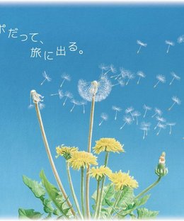タンポポ (Dandelion)