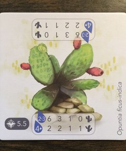 Petrichor: Cactus, Lake & Fertilizer