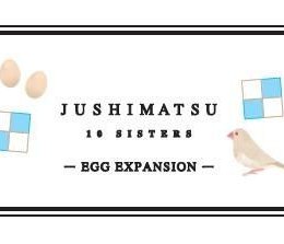 Jushimatsu: Egg Expansion