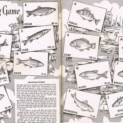 The Fishing Game