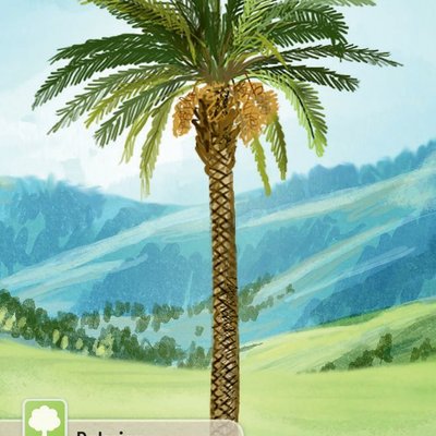 Forêt Mixte: Palmier Promo Card