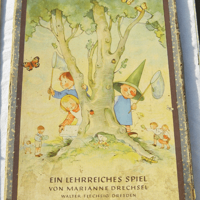 Wer sucht mit uns Insekten?