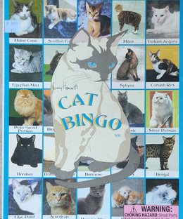 Lucy Hammett's Cat Bingo