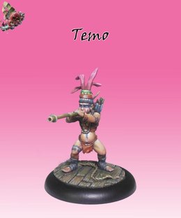 Bushido: Temo