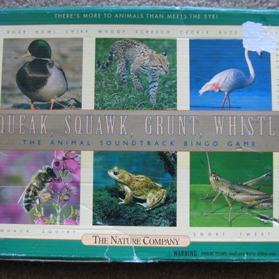 Squeak, Squawk, Grunt, Whistle: the Animal Soundtrack Bingo Game