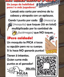 Atrapamoscas y Mosquitos!