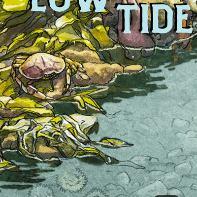 Low Tide