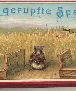 Der gerupfte Spatz