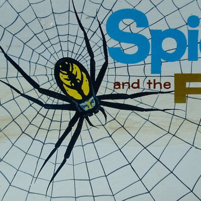 Spider and the Fly