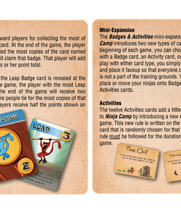 Ninja Camp: Badges and Activities