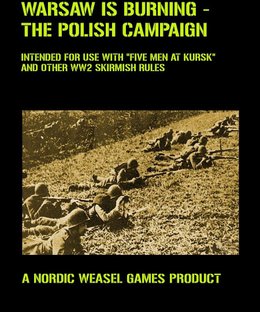 Warsaw is Burning: The Polish Campaign