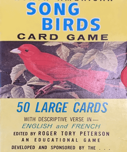 North American Song Birds Card Game