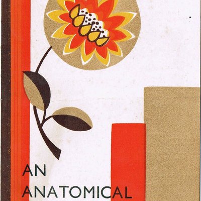 An Anatomical Puzzle