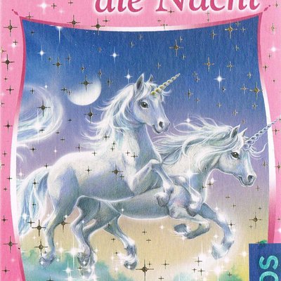 Sternenschweif: Flug durch die Nacht