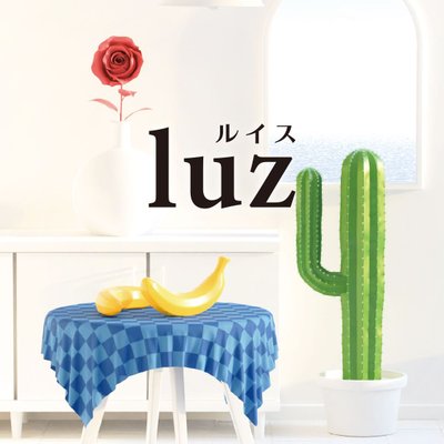 luz