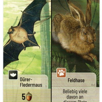 Mischwald: Dürer-Fledermaus / Feldhase Promokarte