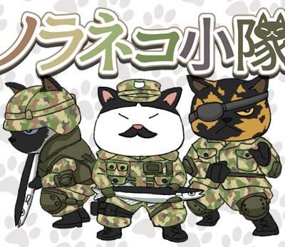 Wild Cat Platoon