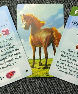 Mein Königreich für ein Pferd: Promokarten