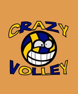 Crazy Volley