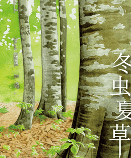 冬虫夏草 (Caterpillar Fungi)