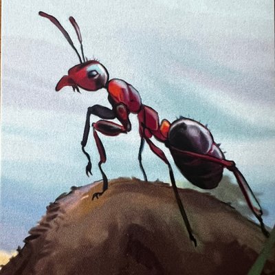 Safari Photo: Ants Promo Cards