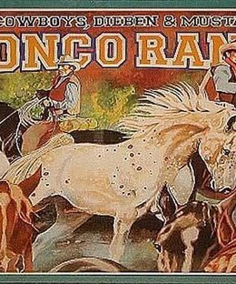 Bronco Ranch