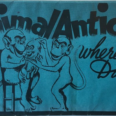 Animal Antics or Where's My Dad