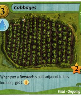 Fields of Green: Cabbages